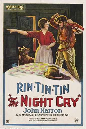 The Night Cry movie poster