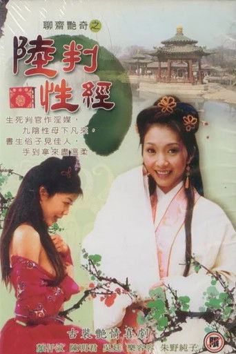 Erotic Agent movie poster