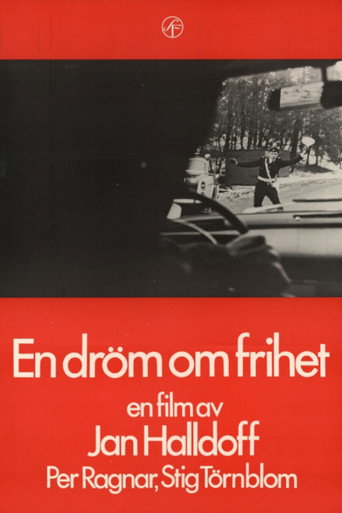 A Dream About Freedom movie poster