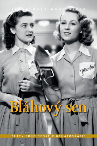Bláhový sen movie poster