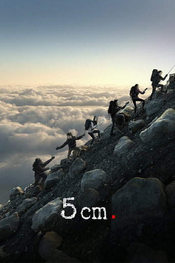 5 cm movie poster