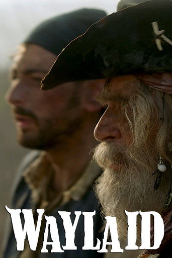 Waylaid movie poster