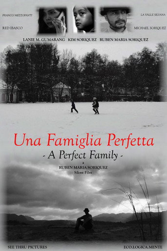 A Perfect Family movie poster
