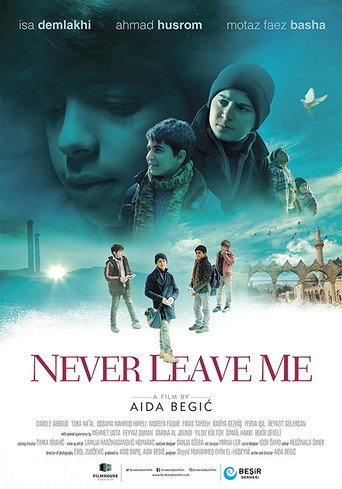 Never Leave Me movie poster