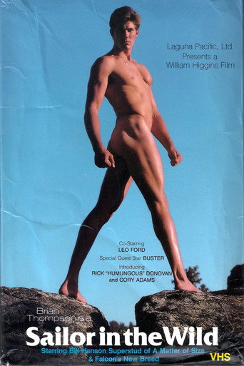 Sailor in the Wild movie poster