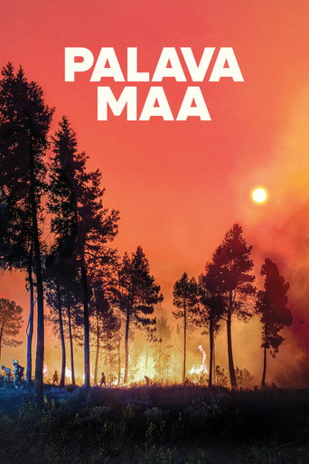 Lessons in Fire movie poster