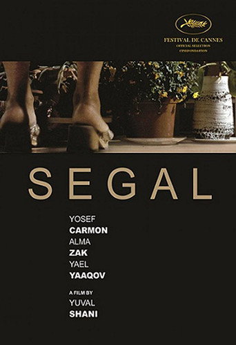 Segal movie poster