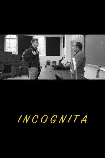 Incognita movie poster