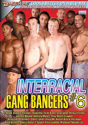Interracial Gang Bangers 6 movie poster