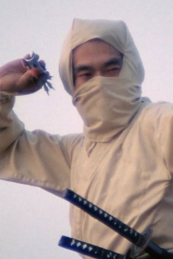 Re-Enter the 'New York Ninja' movie poster