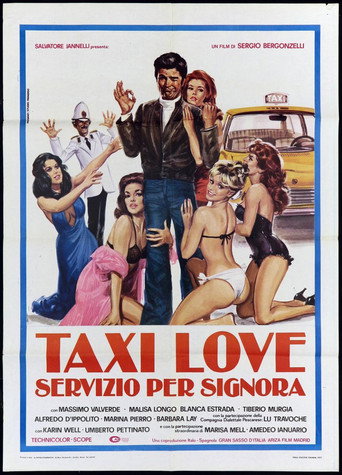 Taxi Love - Servizio per signora movie poster