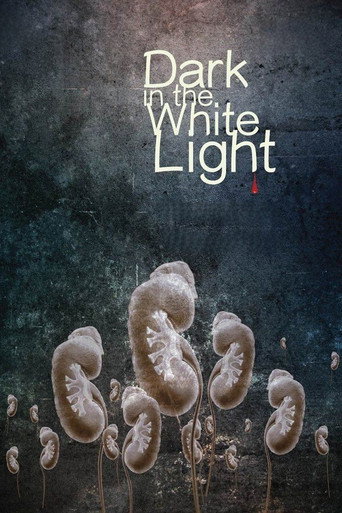 Dark in the White Light movie poster