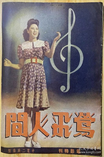 Songbird Flies Over the World movie poster