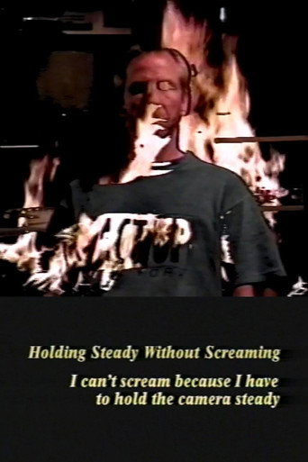 Holding Steady Without Screaming movie poster