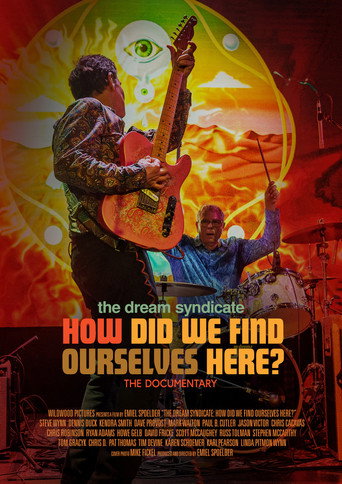 The Dream Syndicate: How Did We Find Ourselves Here? movie poster