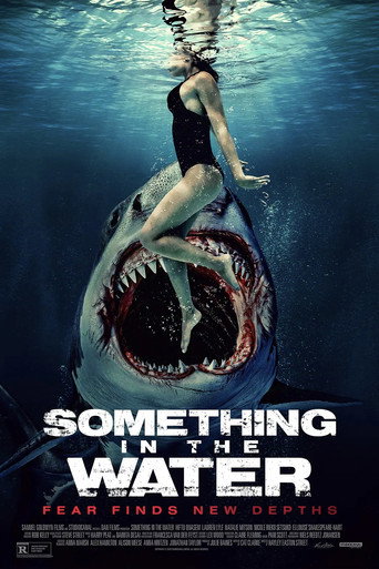 Something movie poster