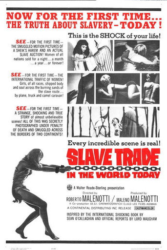 Slave Trade in the World Today movie poster