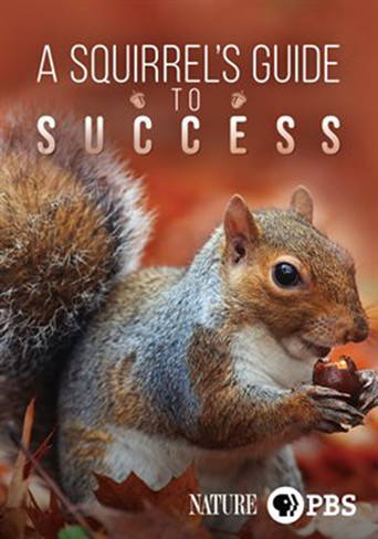 A Squirrel's Guide to Success movie poster