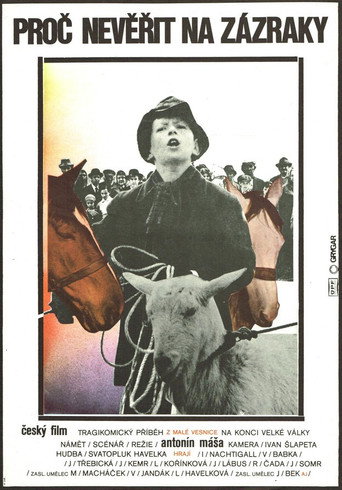 Proč nevěřit na zázraky movie poster