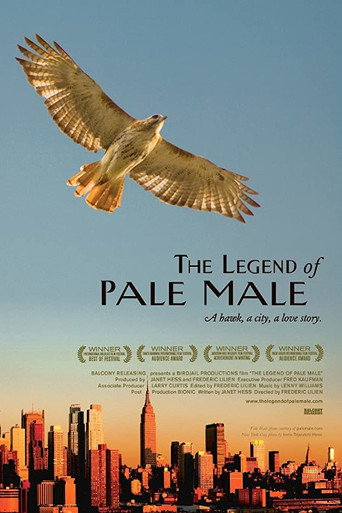 The Legend of Pale Male movie poster