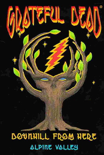 Grateful Dead: Downhill from Here movie poster