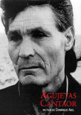 Agujetas Cantaor movie poster