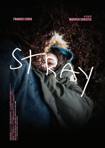 Stray movie poster