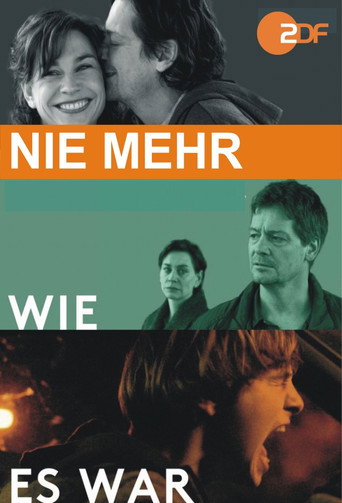 Nie mehr wie es war movie poster