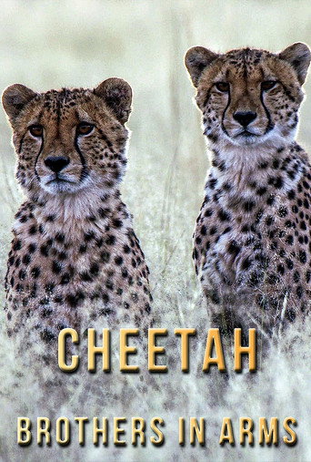Cheetah Brothers in Arms movie poster
