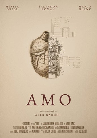Amo movie poster