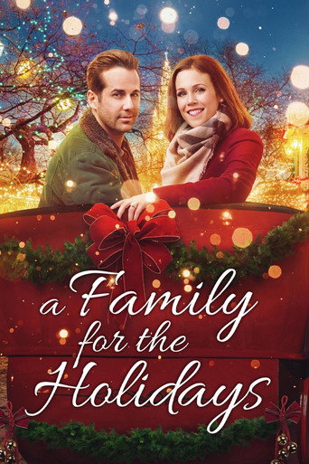 A Family for the Holidays movie poster