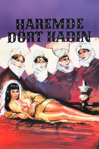 Four Women in the Harem movie poster