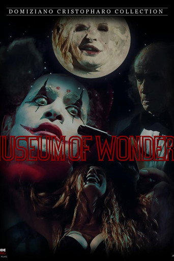 The Museum Of Wonders movie poster