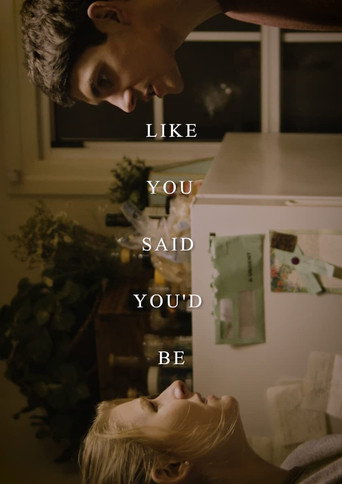 Like You Said You'd Be movie poster