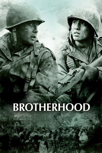 Tae Guk Gi: The Brotherhood of War movie poster