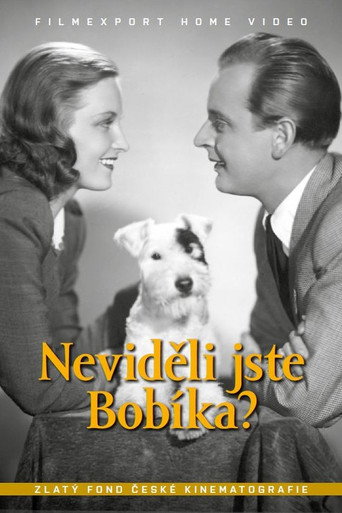 Neviděli jste Bobíka? movie poster