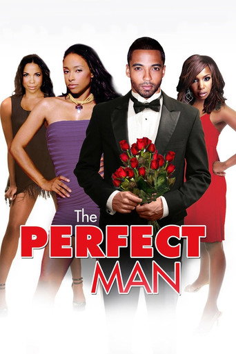The Perfect Man movie poster