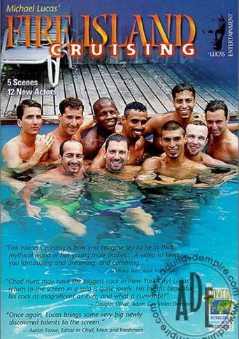 Fire Island Cruising 1 movie poster