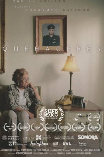 Los Quehaceres movie poster