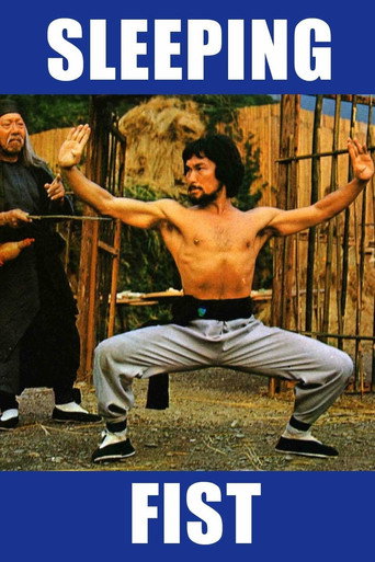 Sleeping Fist movie poster