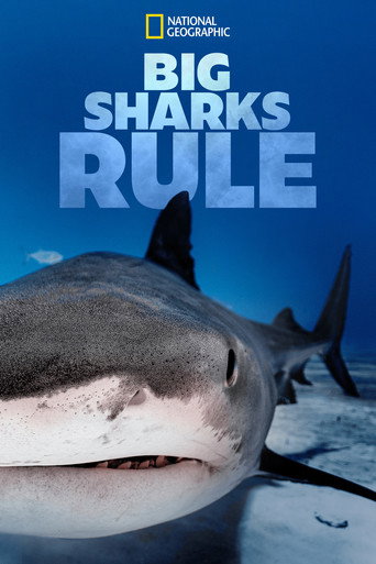 Big Sharks Rule movie poster