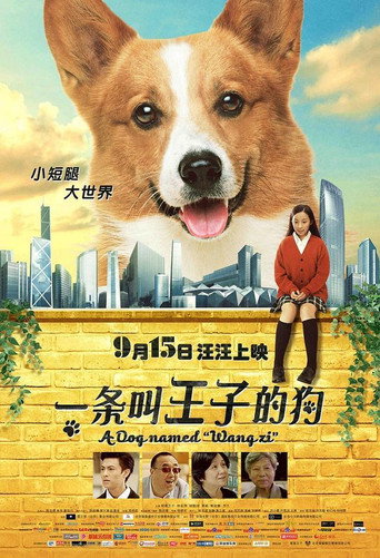 A Dog Named Wang Zi movie poster