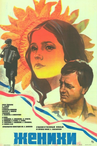 Grooms movie poster