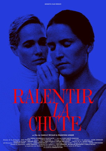 Slow Down the Fall movie poster