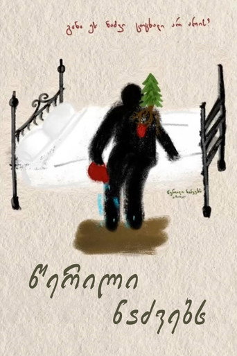 A Letter to Fir Trees movie poster