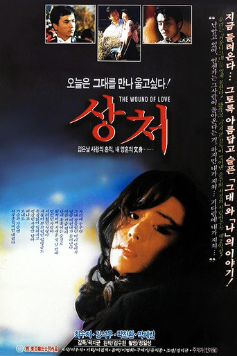 Wound movie poster