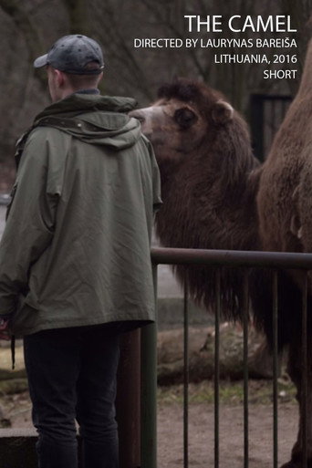 The Camel movie poster