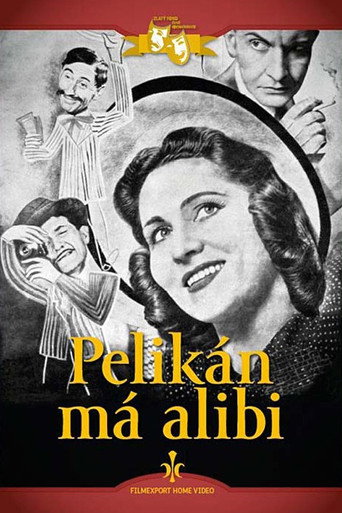 Pelikán má alibi movie poster