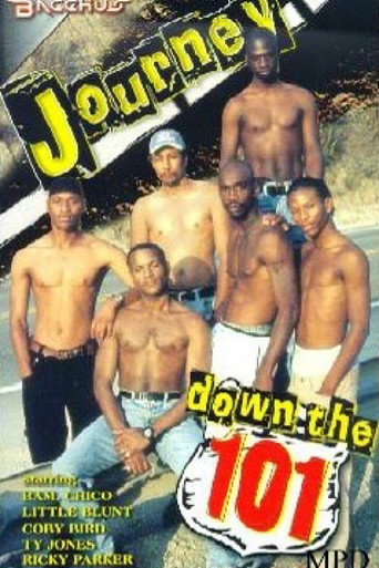 Journey Down the 101 movie poster