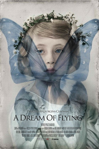 A Dream of Flying movie poster